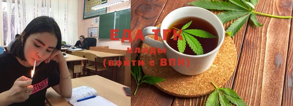 тгк Снежногорск