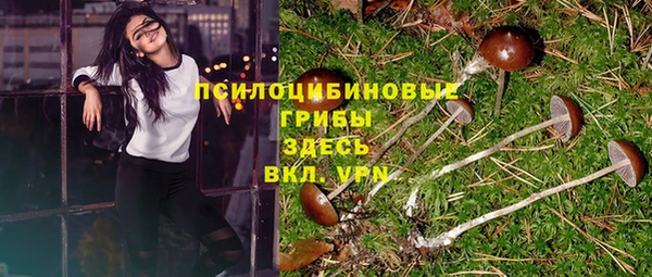 не бодяженный Сосновый Бор